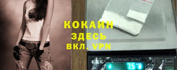 гидра Алексин