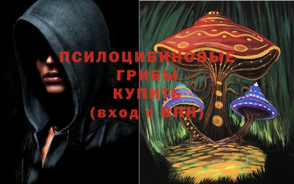 марки lsd Алексеевка