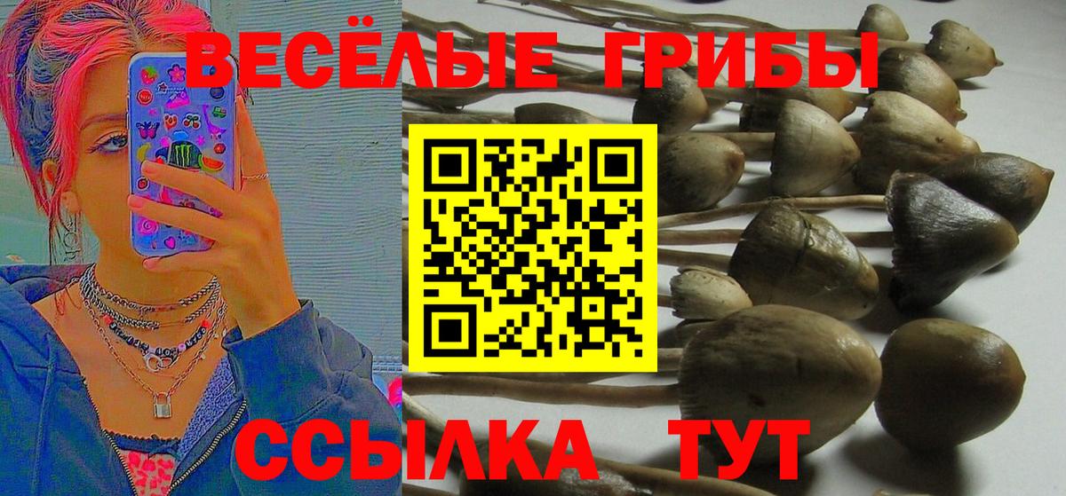 Галлюциногенные грибы MAGIC MUSHROOMS  Вход с VPN  Апатиты 