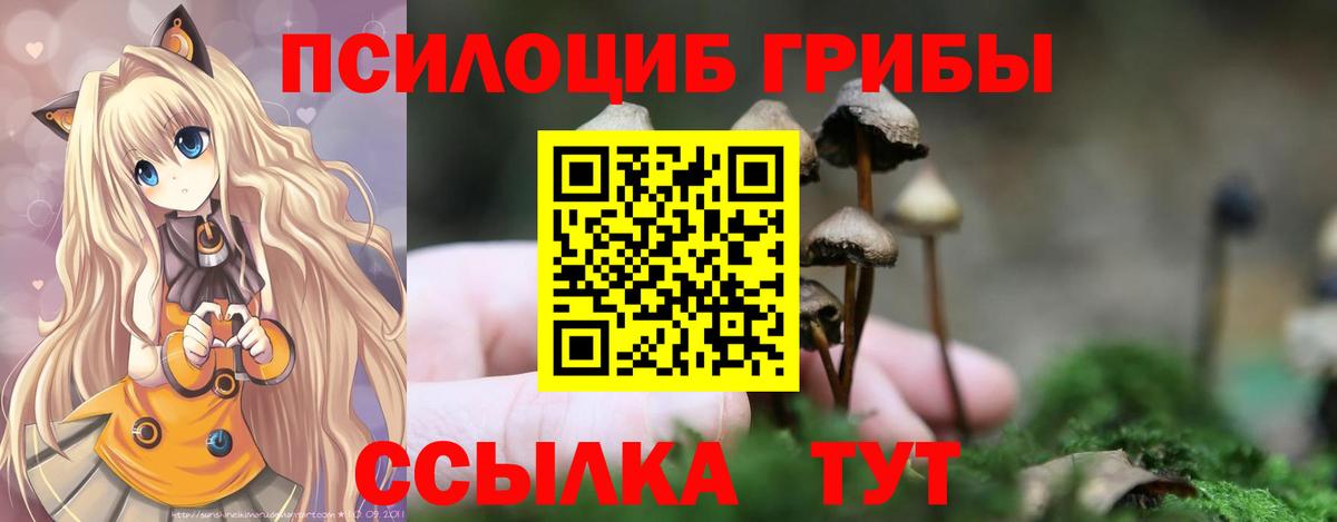 Псилоцибиновые грибы MAGIC MUSHROOMS Апатиты